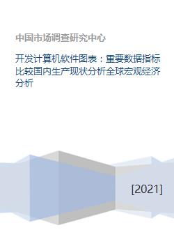 计算机软件开发 重要数据指标比较与国内外生产现状及全球宏观经济分析